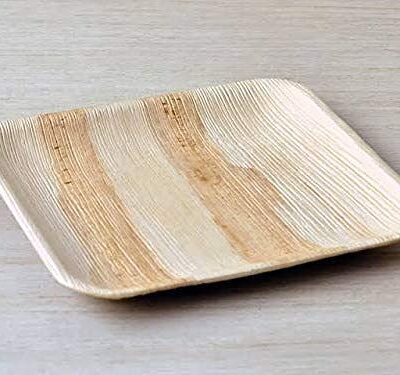 RudraEco-Export-Quality-Areca-Leaf-Square-Shallow-Plate-Bio-Degradable-Disposable-Plates-9-Inch-Set-of-40-1