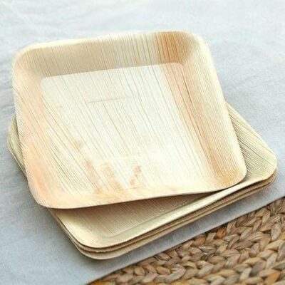 RudraEco-Square-Tray-Plates-Areca-Palm-Leaf-Biodegradable-Disposable-10-Inch-Set-of-20