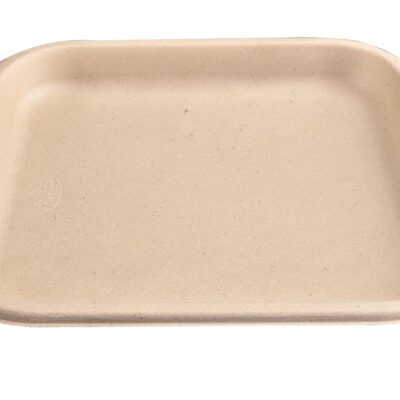 Chuk-BioDegradable-Disposable-and-Eco-Friendly-Dinner-Plate-11-Inch-Set-of-25-1