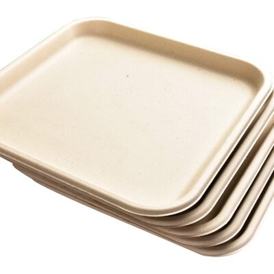 Chuk BioDegradable Disposable and Eco-Friendly Meal Tray (3 Compartment) –  Set of 25