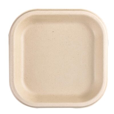 Chuk-BioDegradable-Disposable-and-Eco-Friendly-Snack-Plate-7-Inch-–-Set-of-25-1