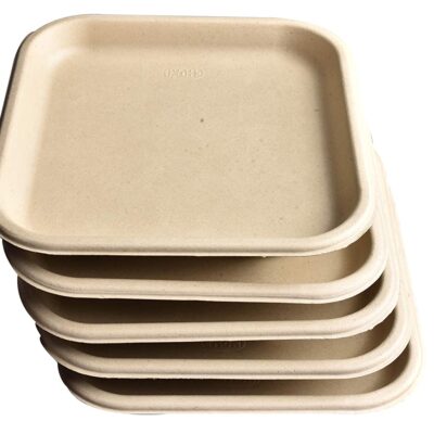 https://www.rudraeco.com/wp-content/uploads/2022/03/Chuk-BioDegradable-Disposable-and-Eco-Friendly-Dinner-Plate-9-Inch-%E2%80%93-Set-of-25-3-400x400.jpg