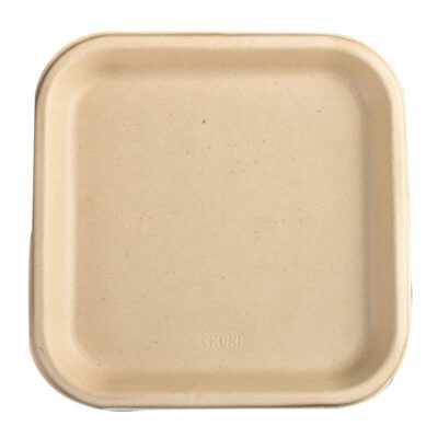 Chuk-BioDegradable-Disposable-and-Eco-Friendly-Dinner-Plate-9-Inch-–-Set-of-25-1