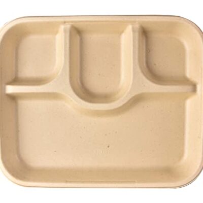 Chuk-BioDegradable-Disposable-and-Eco-Friendly-Meal-Tray-4-Compartment-–-Set-of-25-1